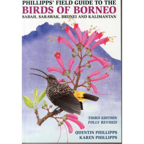 John Beaufoy Publishing Ltd Phillipps' Field Guide to the Birds of Borneo (häftad, eng)