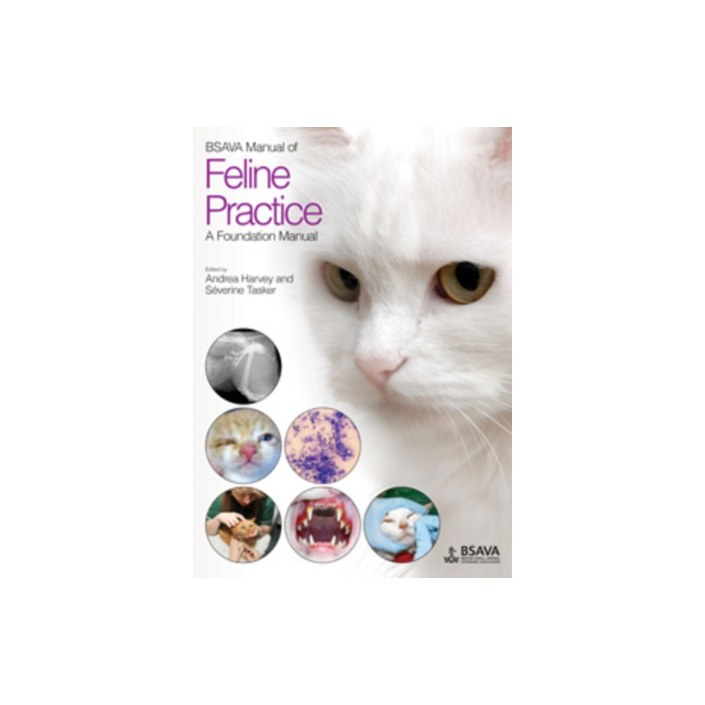 Produktbild för BSAVA Manual of Feline Practice (häftad, eng)