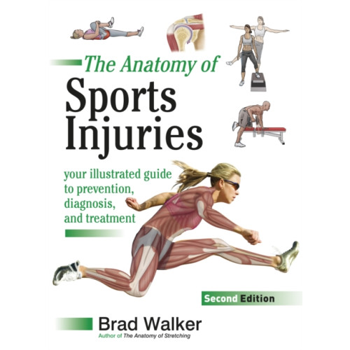 Lotus Publishing Sports Injuries (häftad, eng)