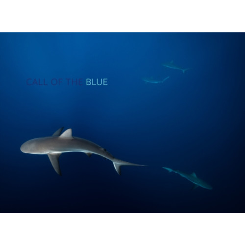 Paul Holberton Publishing Ltd Call of the Blue (inbunden, eng)