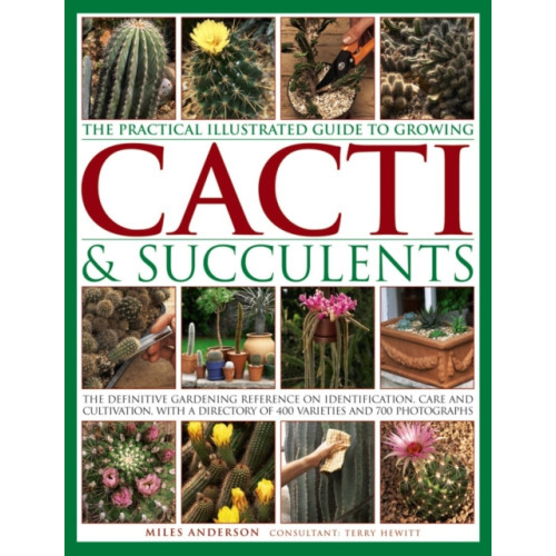 Anness publishing Practical Illustrated Guide to Growing Cacti & Succulents (inbunden, eng)