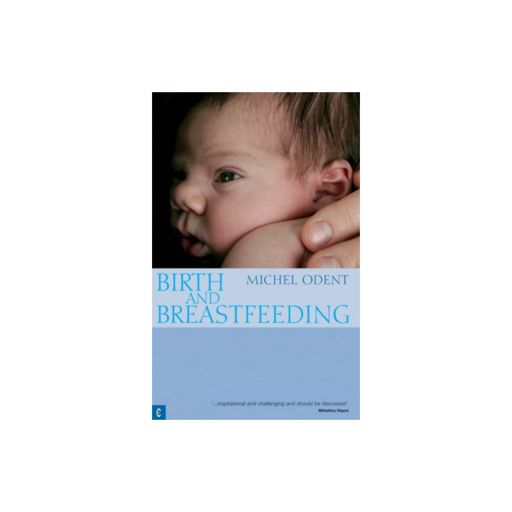 Produktbild för Birth and Breastfeeding (häftad, eng)