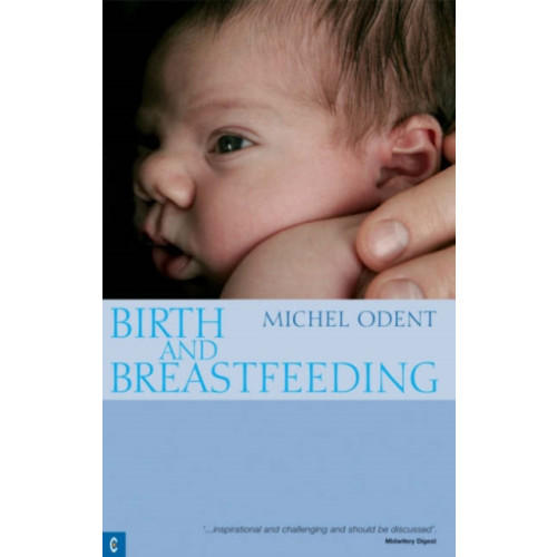 Clairview Books Birth and Breastfeeding (häftad, eng)