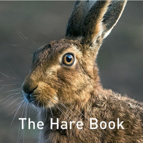 Graffeg Limited Nature Book Series, The: The Hare Book (inbunden, eng)