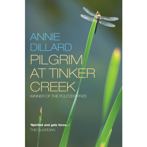 Canterbury Press Norwich Pilgrim at Tinker Creek (häftad, eng)