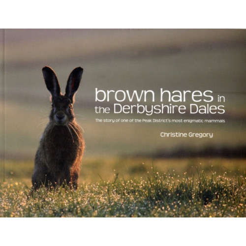 Vertebrate Publishing Ltd Brown Hares in the Derbyshire Dales (häftad, eng)