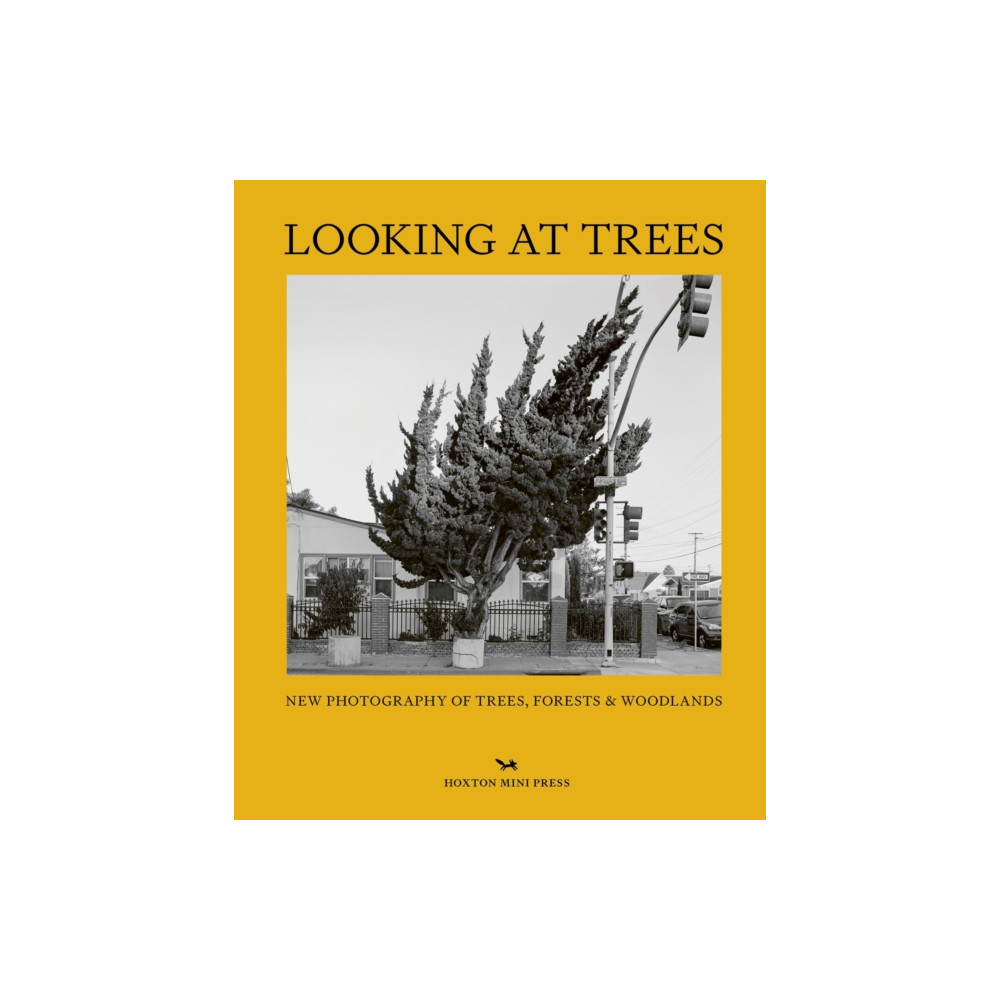 Produktbild för Looking At Trees (inbunden, eng)