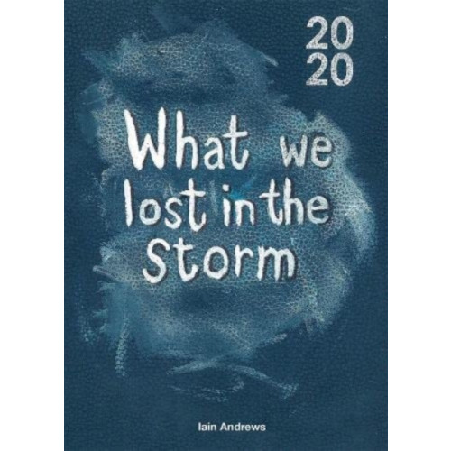 Verite CM Ltd What We Lost In The Storm (häftad, eng)