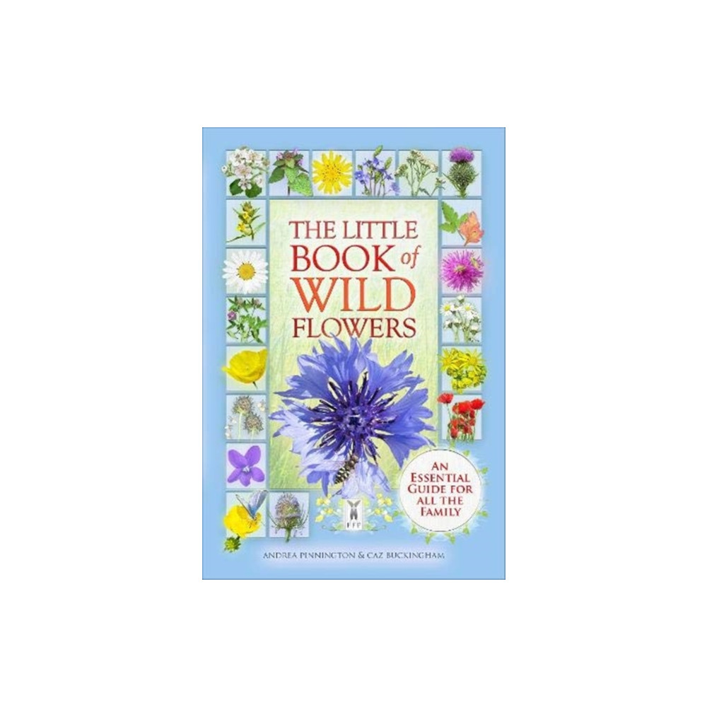 Produktbild för The Little Book of Wild Flowers (häftad, eng)