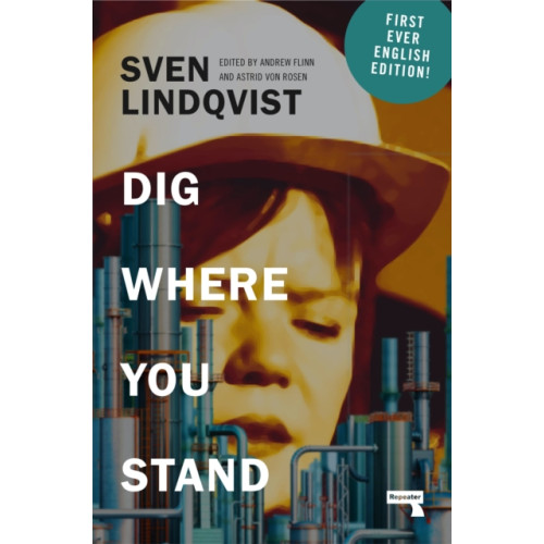 Watkins Media Limited Dig Where You Stand (häftad, eng)