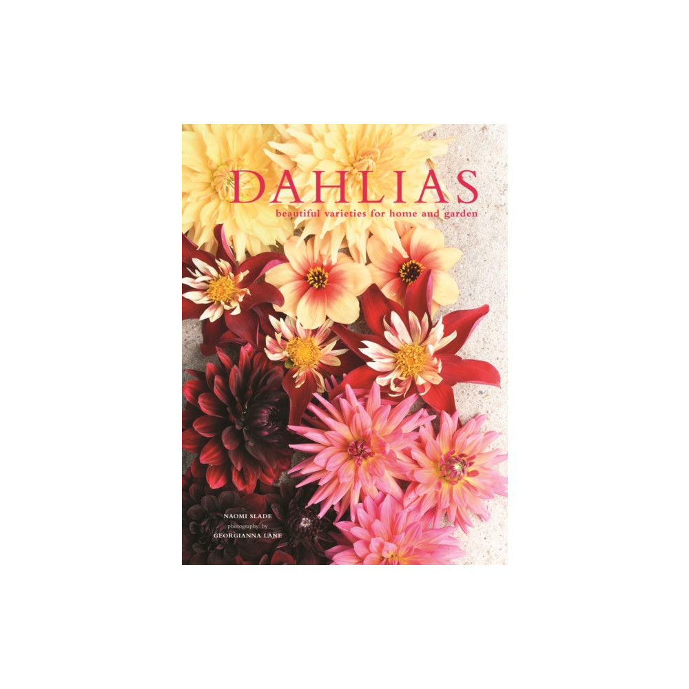 Produktbild för Dahlias (inbunden, eng)