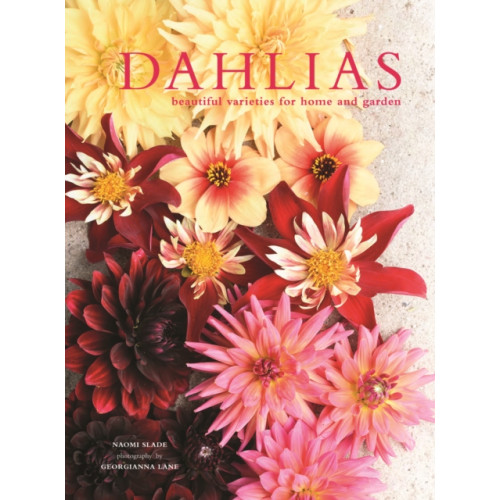 HarperCollins Publishers Dahlias (inbunden, eng)