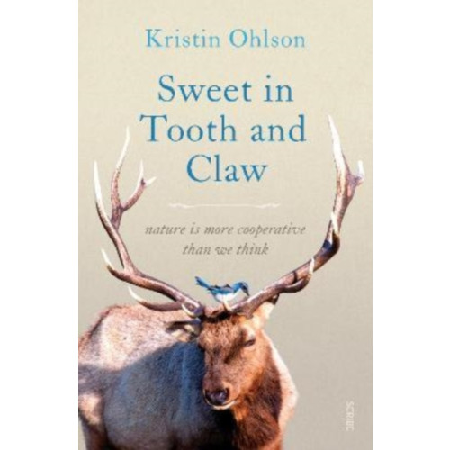 Scribe Publications Sweet in Tooth and Claw (häftad, eng)