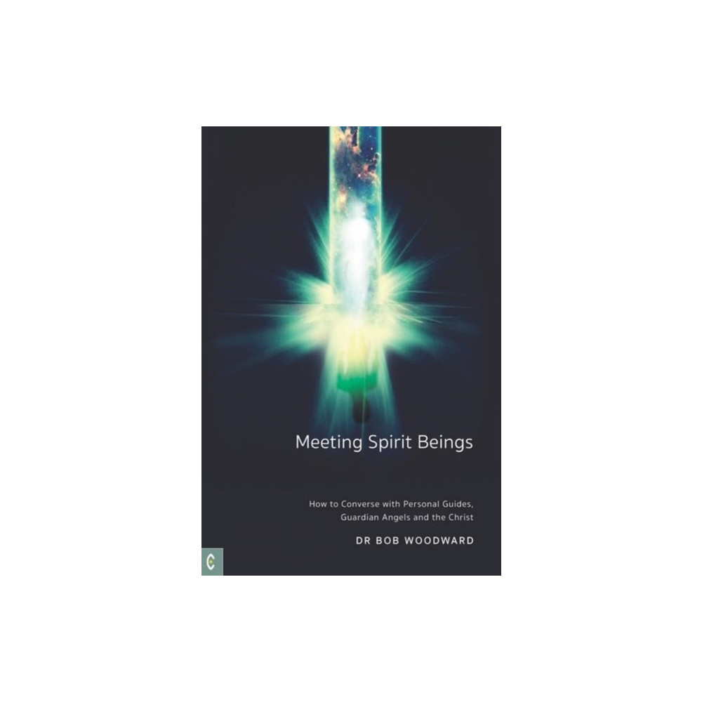 Produktbild för Meeting Spirit Beings (häftad, eng)