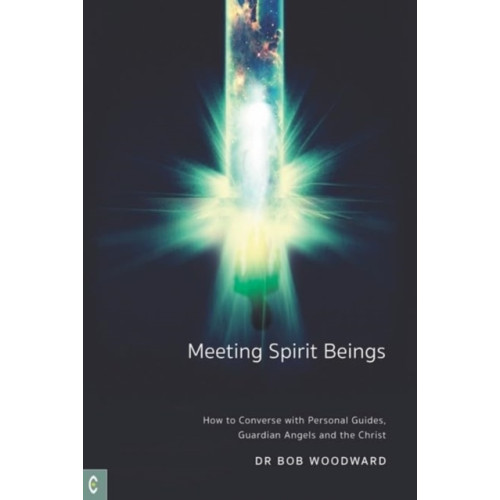 Clairview Books Meeting Spirit Beings (häftad, eng)