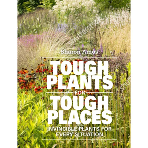 Gemini Books Group Ltd Tough Plants for Tough Places (inbunden, eng)