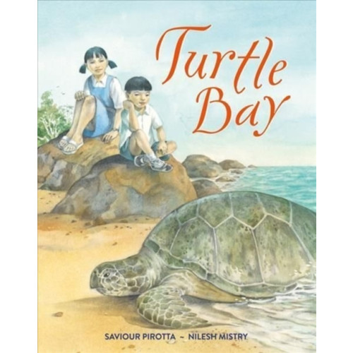 Otter-Barry Books Ltd Turtle Bay (häftad, eng)