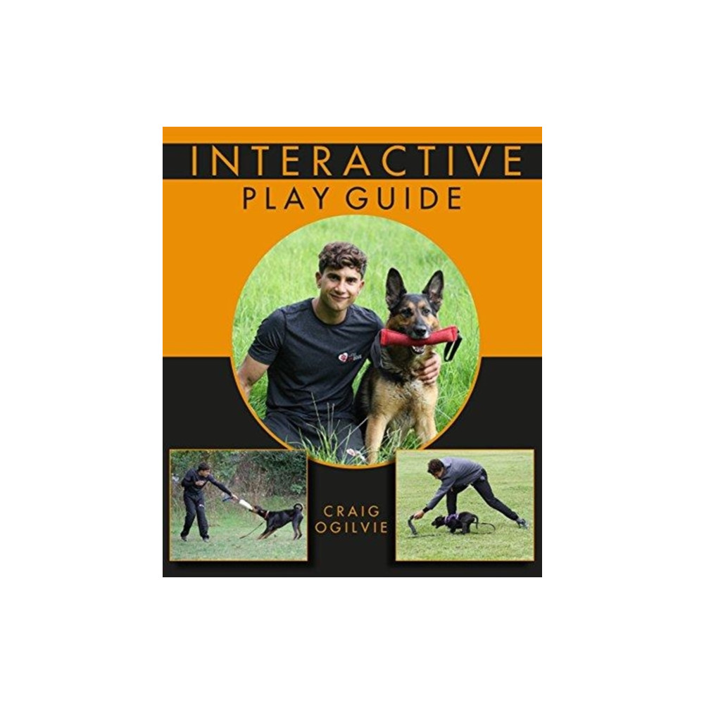 Produktbild för Interactive Play Guide (häftad, eng)