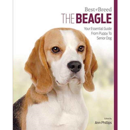 First Stone Publishing Beagle (häftad, eng)