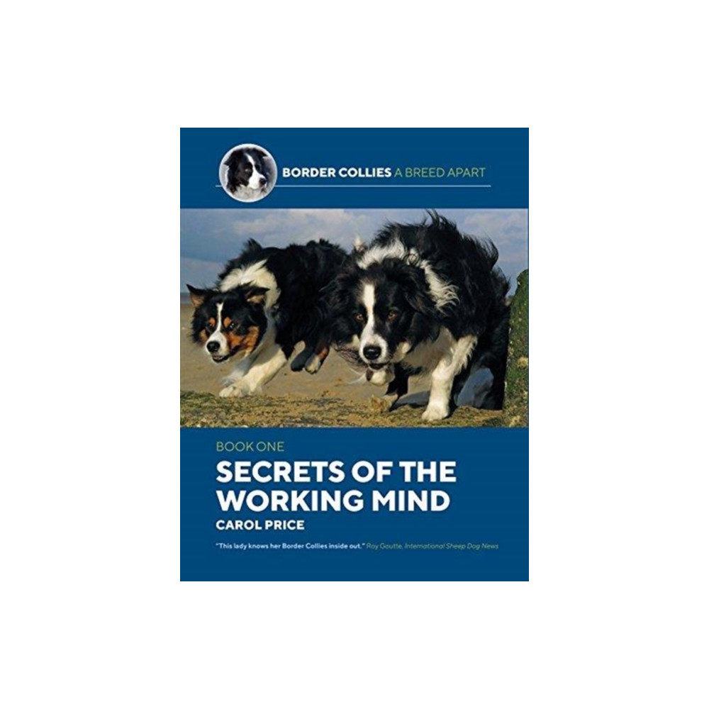 Produktbild för Secrets Of The Working Mind (häftad, eng)