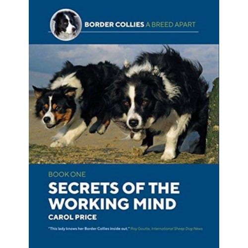 Corpus Publishing Limited Secrets Of The Working Mind (häftad, eng)
