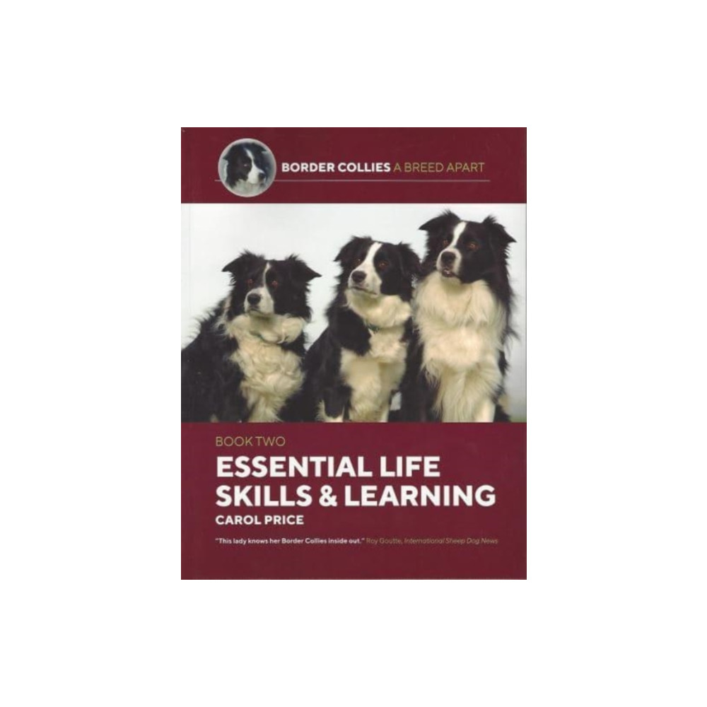 Produktbild för Life Skills and Learning (häftad, eng)