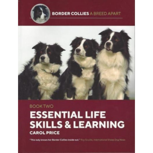 Corpus Publishing Limited Life Skills and Learning (häftad, eng)