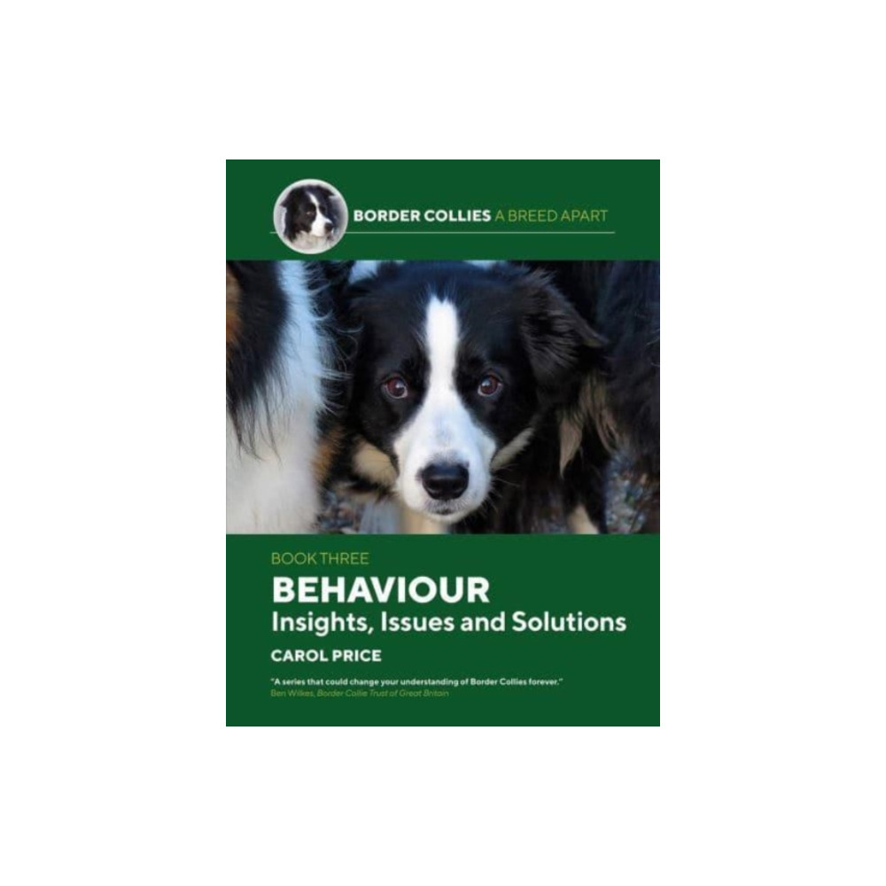 Produktbild för Behaviour: INsights, Issues and Solutions (häftad, eng)