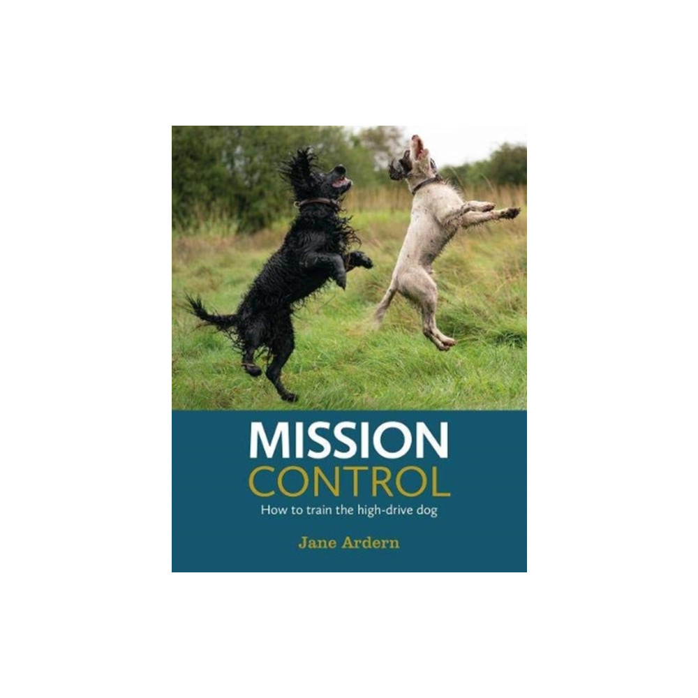 Produktbild för Mission Control (häftad, eng)
