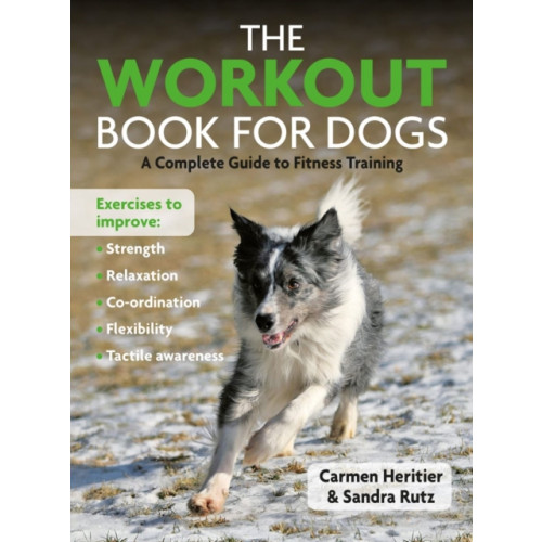 First Stone Publishing The Workout Book For Dogs (häftad, eng)