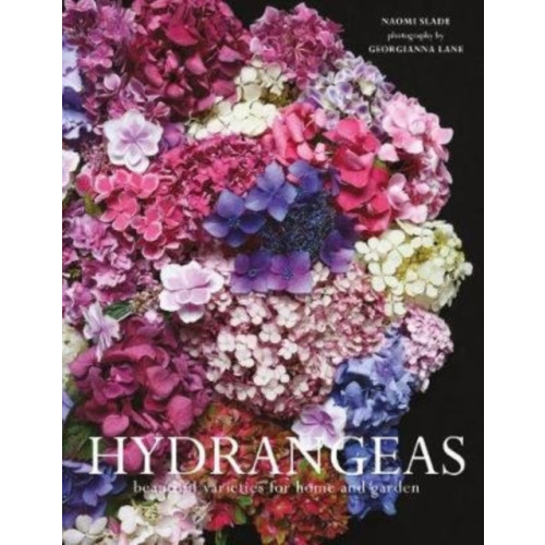 HarperCollins Publishers Hydrangeas (inbunden, eng)