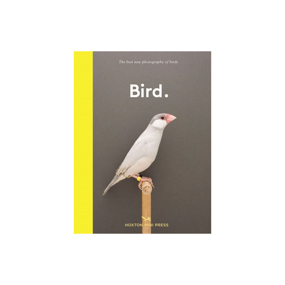 Produktbild för Bird. (inbunden, eng)