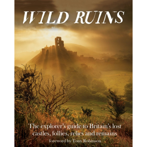 Wild Things Publishing Ltd Wild Ruins (häftad, eng)