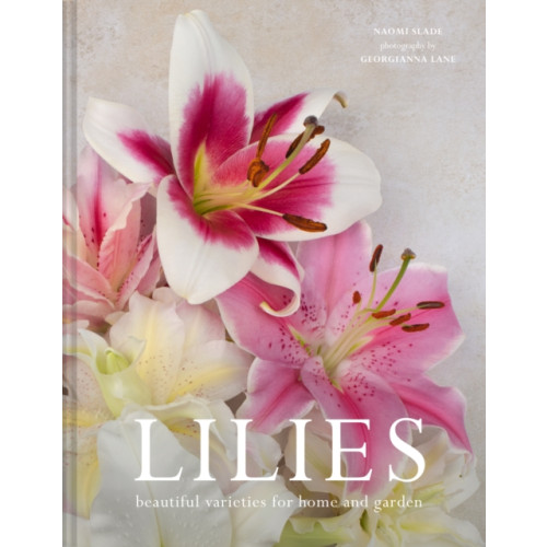 HarperCollins Publishers Lilies (inbunden, eng)