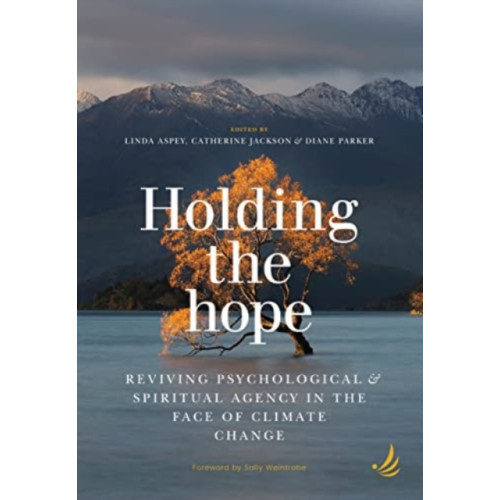 PCCS Books Holding the Hope (häftad, eng)