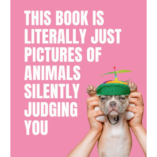 Smith Street Books This Book is Literally Just Pictures of Animals Silently Judging You (inbunden, eng)