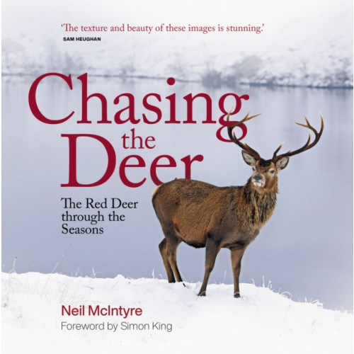 Sandstone Press Ltd Chasing the Deer (inbunden, eng)