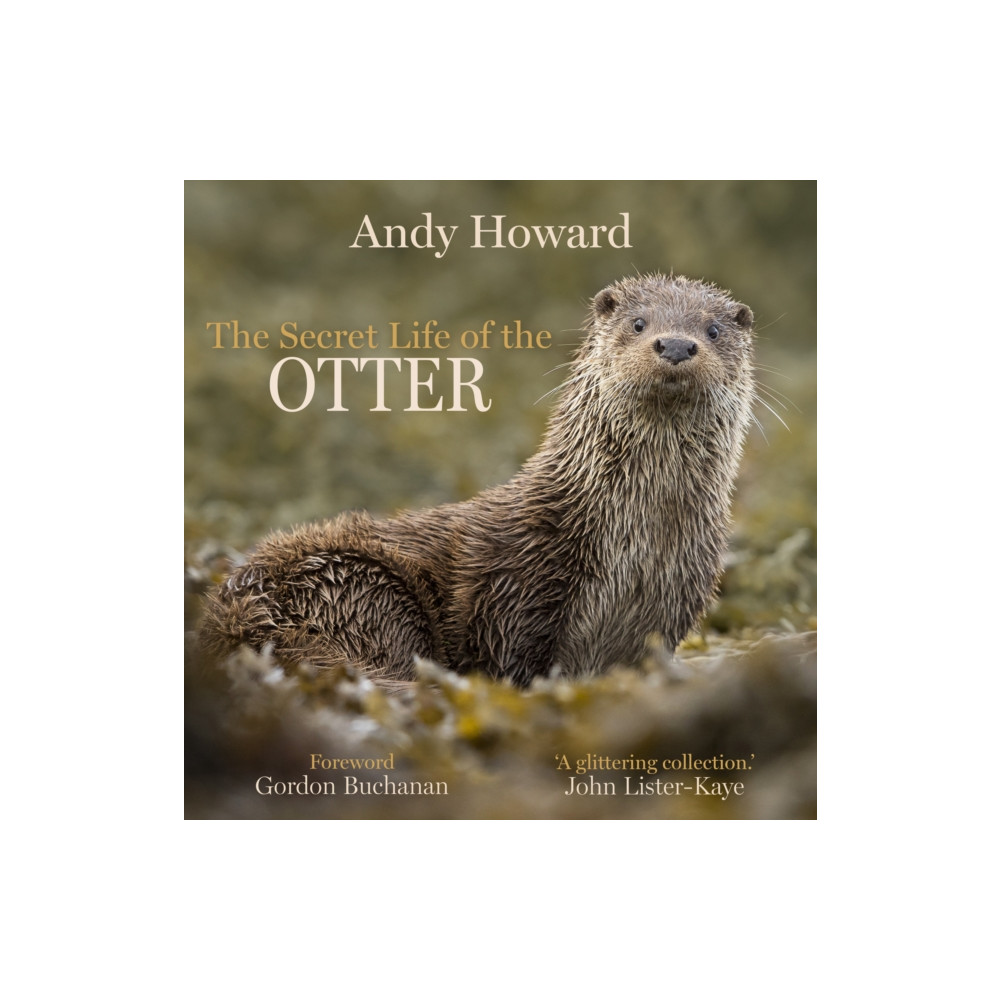 Produktbild för The Secret Life of the Otter (inbunden, eng)