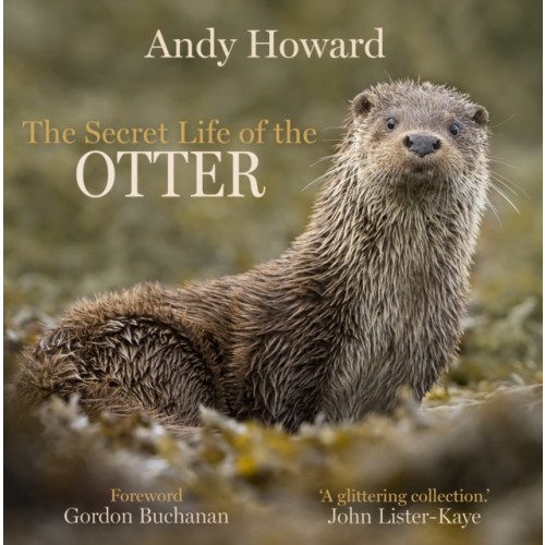 Sandstone Press Ltd The Secret Life of the Otter (inbunden, eng)