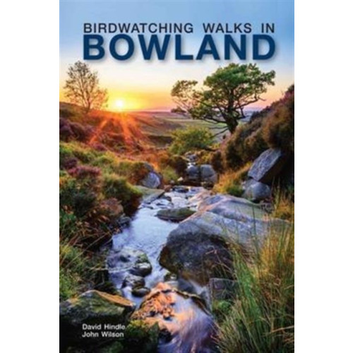 Carnegie Publishing Ltd Birdwatching Walks in Bowland (häftad, eng)