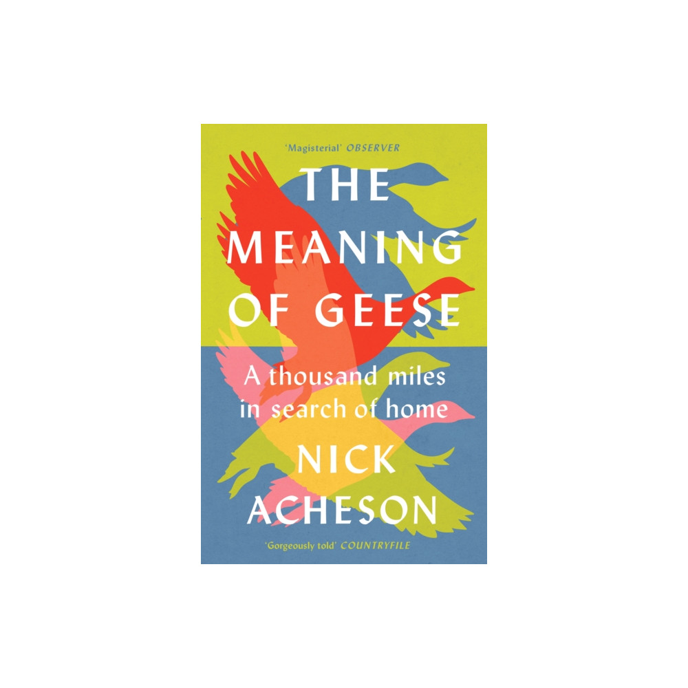 Produktbild för The Meaning of Geese (häftad, eng)