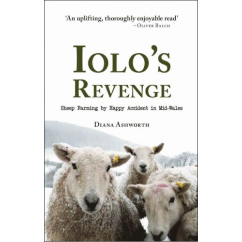 Fircone Books Ltd Iolo's Revenge (häftad, eng)