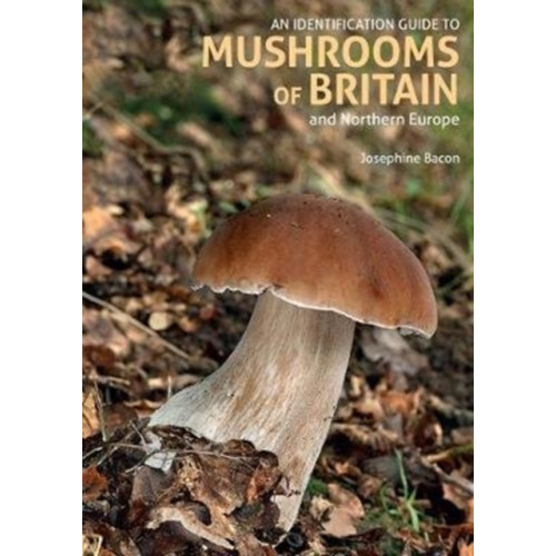 John Beaufoy Publishing Ltd An Identification Guide to Mushrooms of Britain and Northern Europe (2nd edition) (häftad, eng)