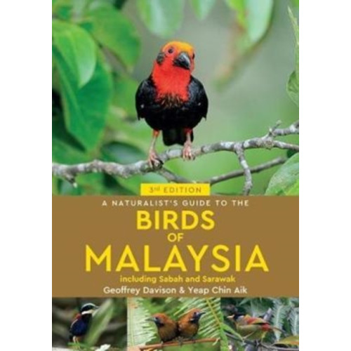 John Beaufoy Publishing Ltd A Naturalist's Guide To Birds of Malaysia (3rd edition) (häftad, eng)