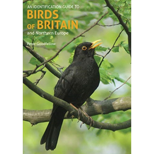 John Beaufoy Publishing Ltd An Identification Guide to Birds of Britain and Northern Europe (2nd edition) (häftad, eng)