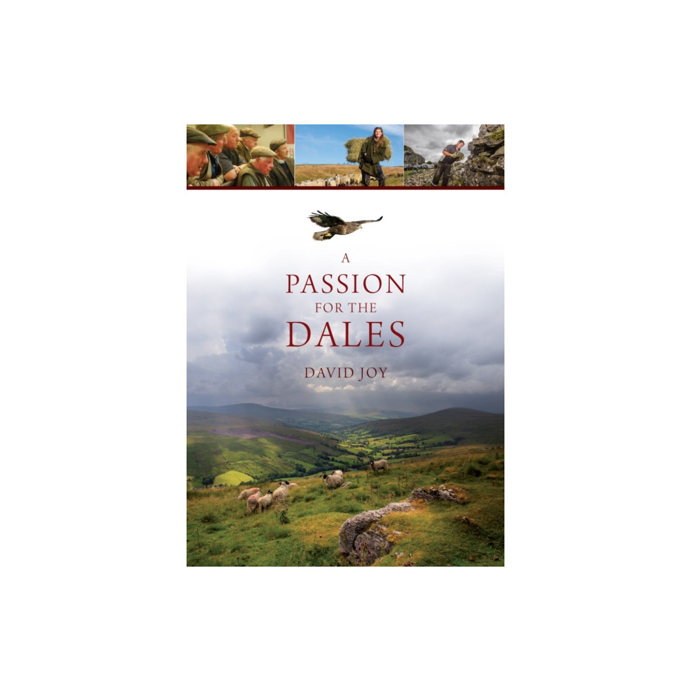 Produktbild för A Passion For The Dales (inbunden, eng)