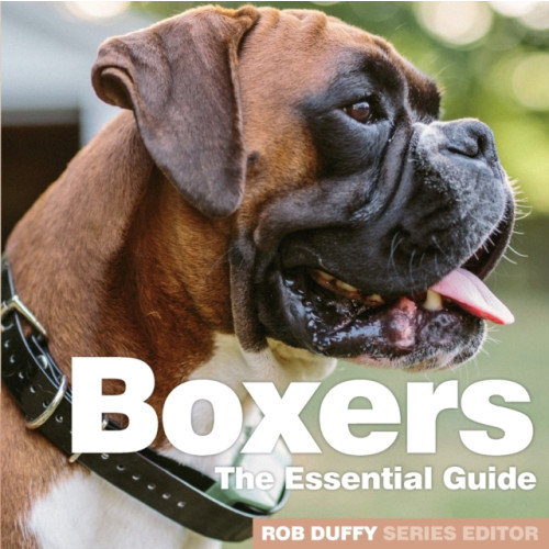 BX Plans Ltd Boxers (häftad, eng)