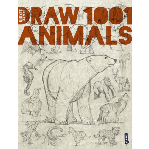Bonnier Books Ltd Draw 1,001 Animals (häftad, eng)