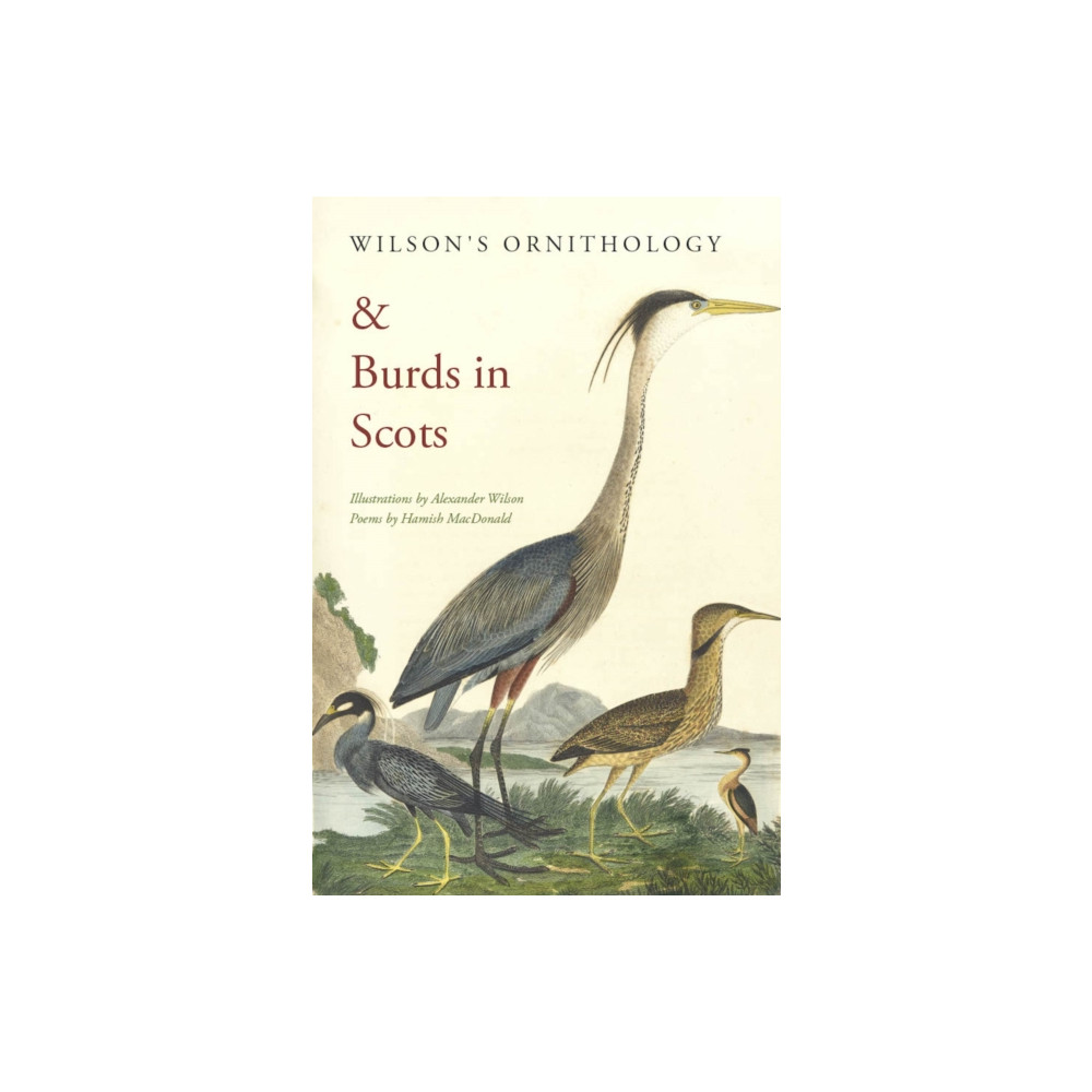 Produktbild för Wilson's Ornithology and Burds in Scots (häftad, eng)