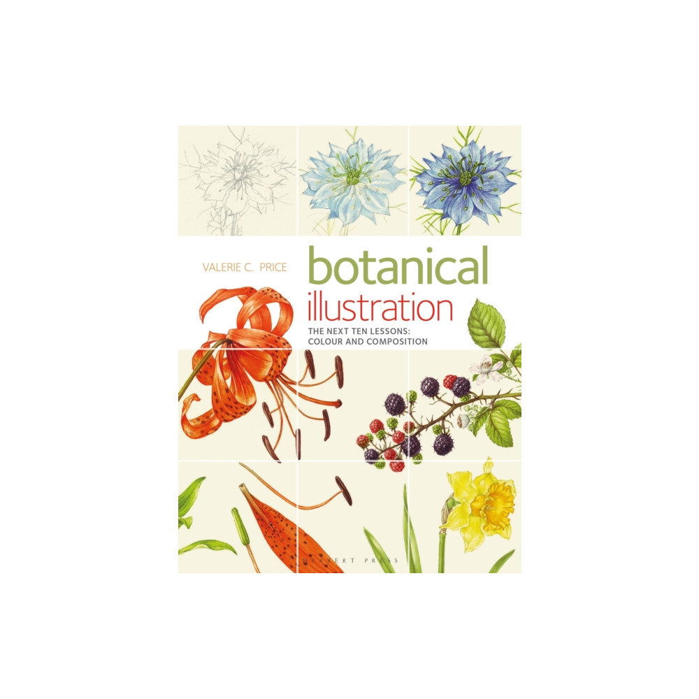 Produktbild för Botanical Illustration (häftad, eng)